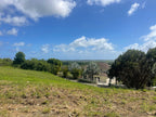 Rolling Hills, Drax Hall, St. George