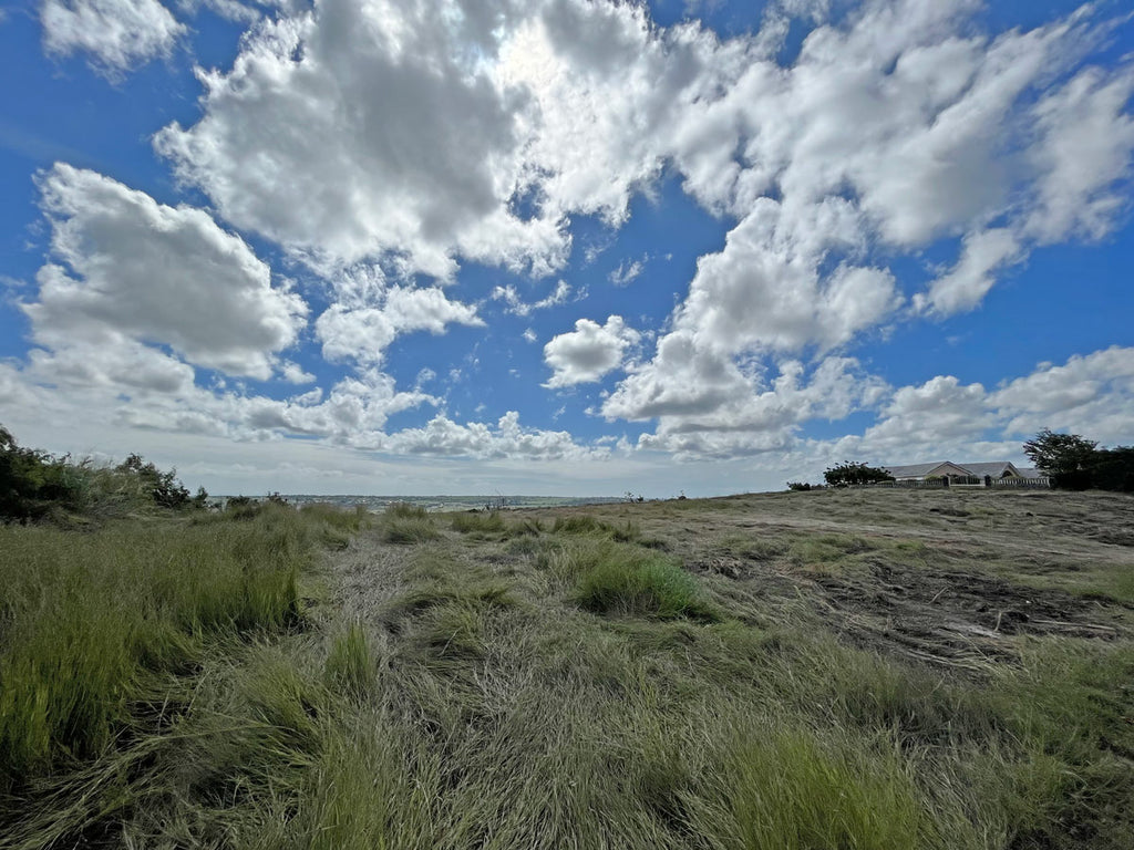 Grand View Cliffs Lots 36 & 37, The Mount  St. George, Barbados