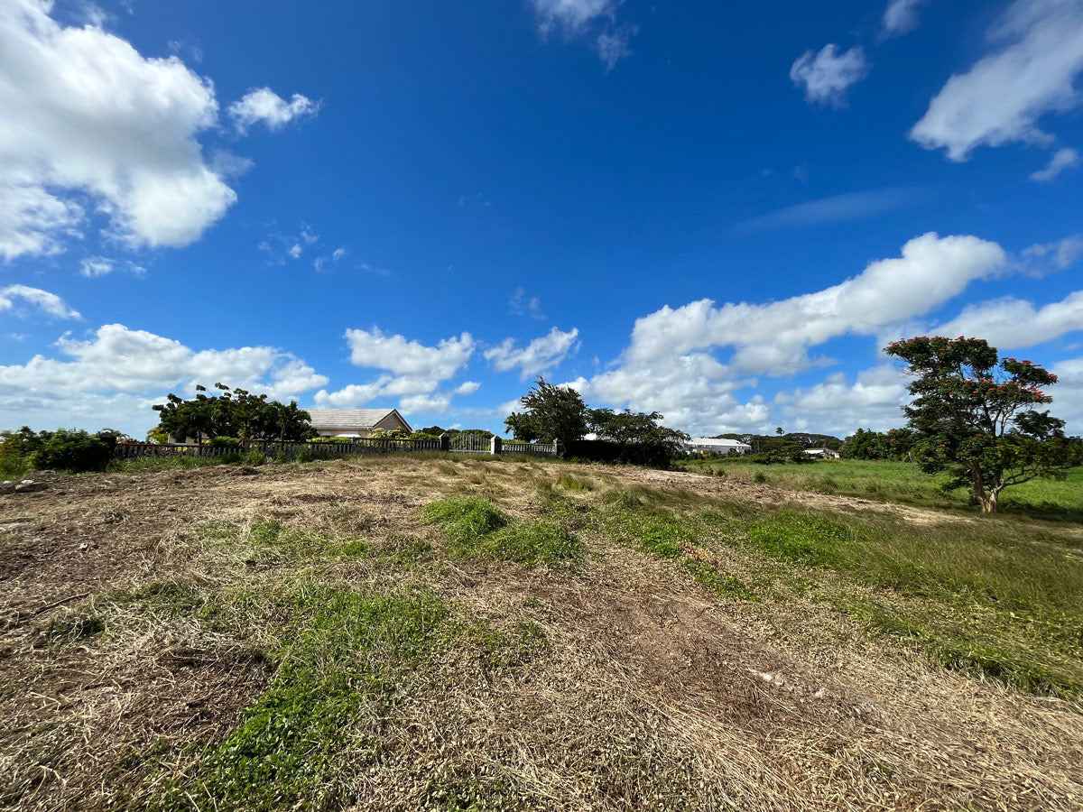 Grand View Cliffs Lots 36 & 37, The Mount  St. George, Barbados