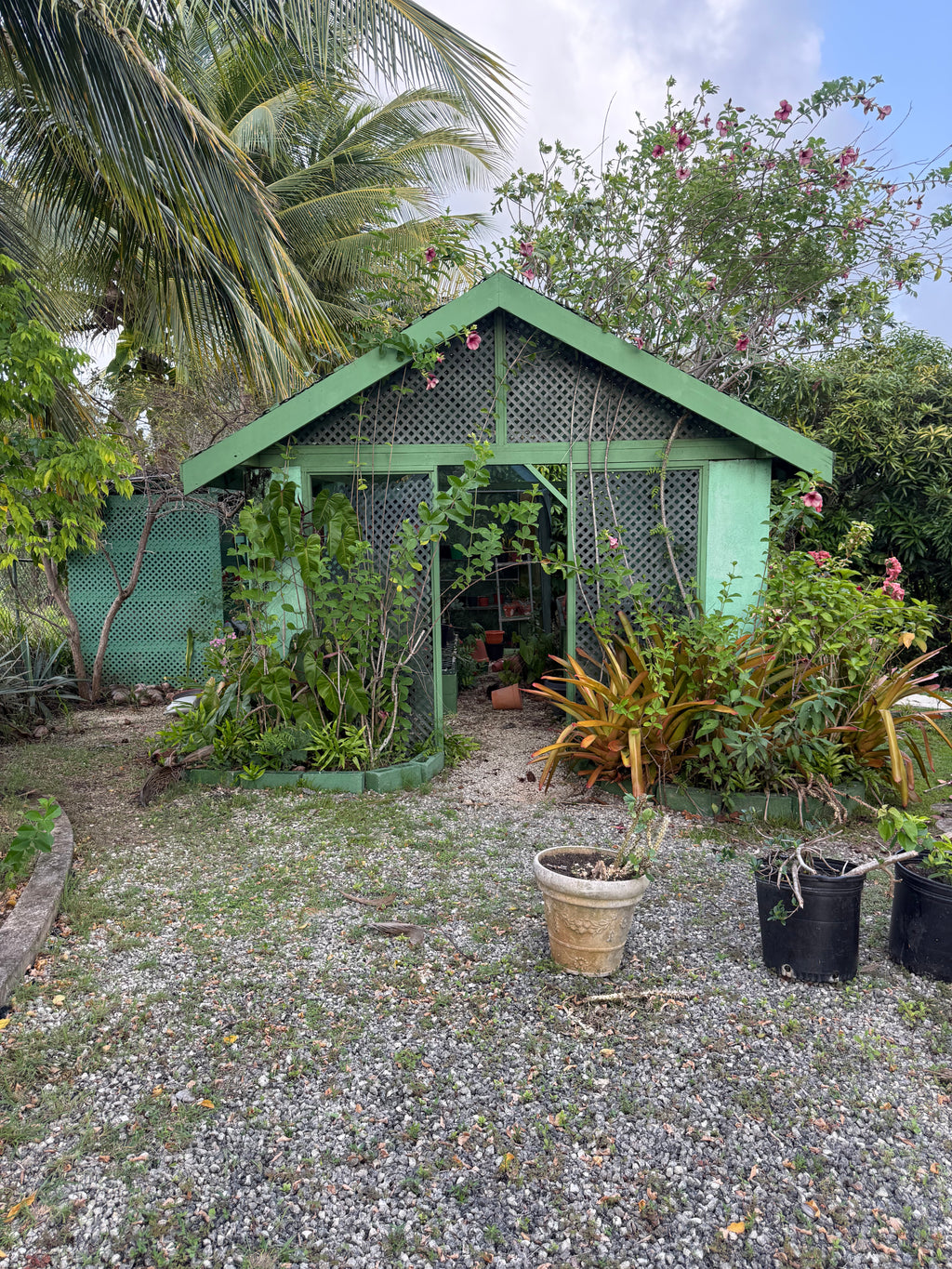 JACARANDA,Brighton, St. George, Barbados