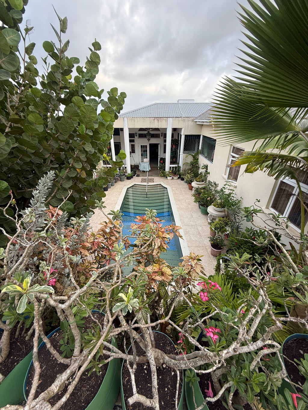 JACARANDA,Brighton, St. George, Barbados