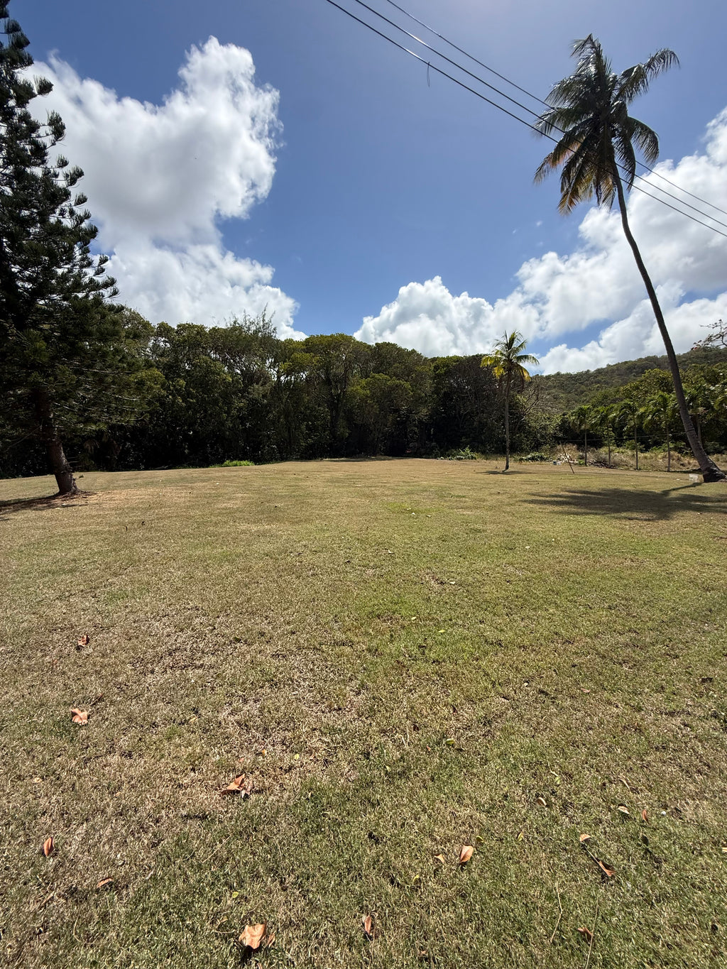 Palmer Plantation, Saint Philip
