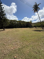 Palmer Plantation, Saint Philip