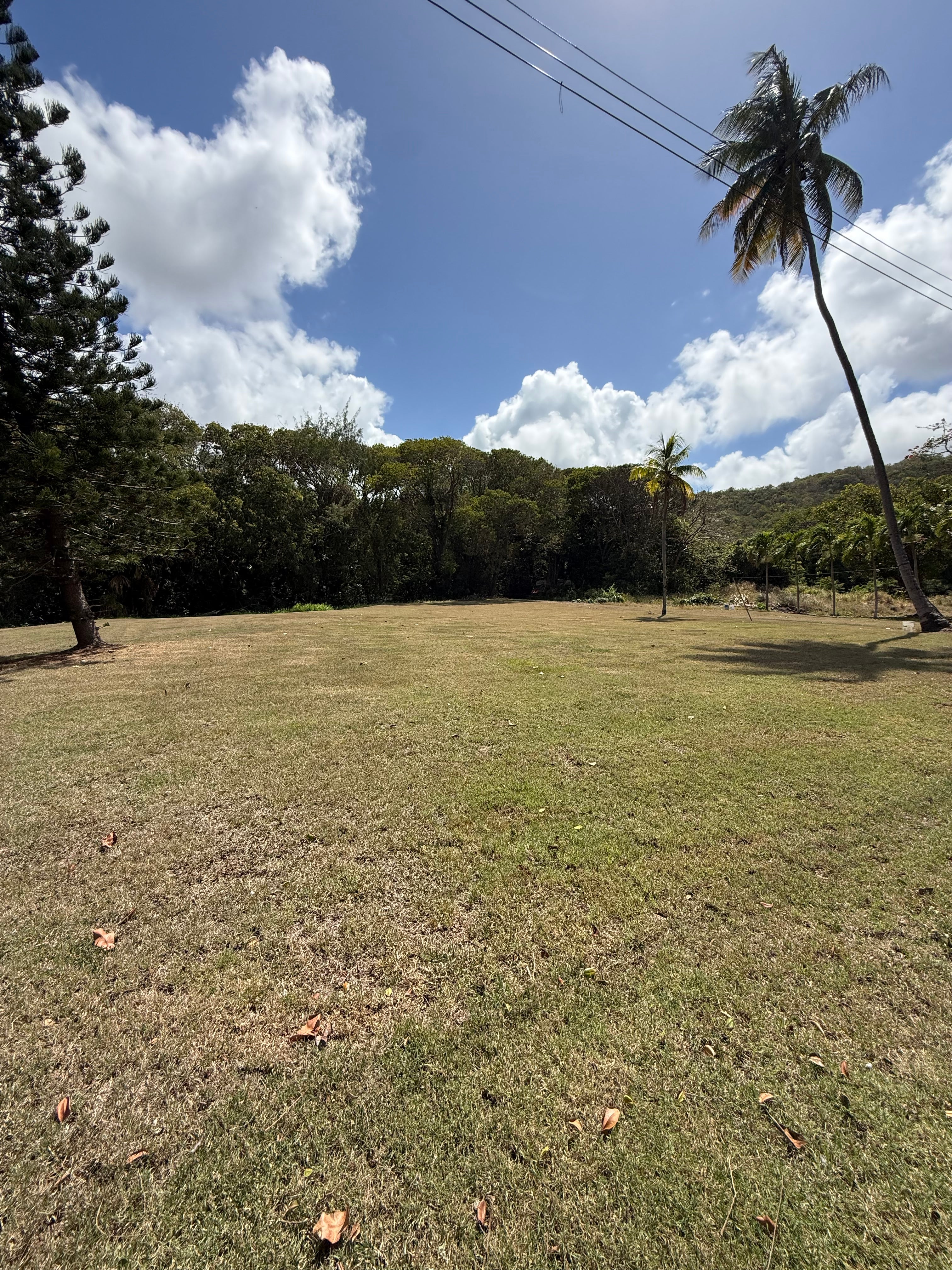 Palmer Plantation, Saint Philip