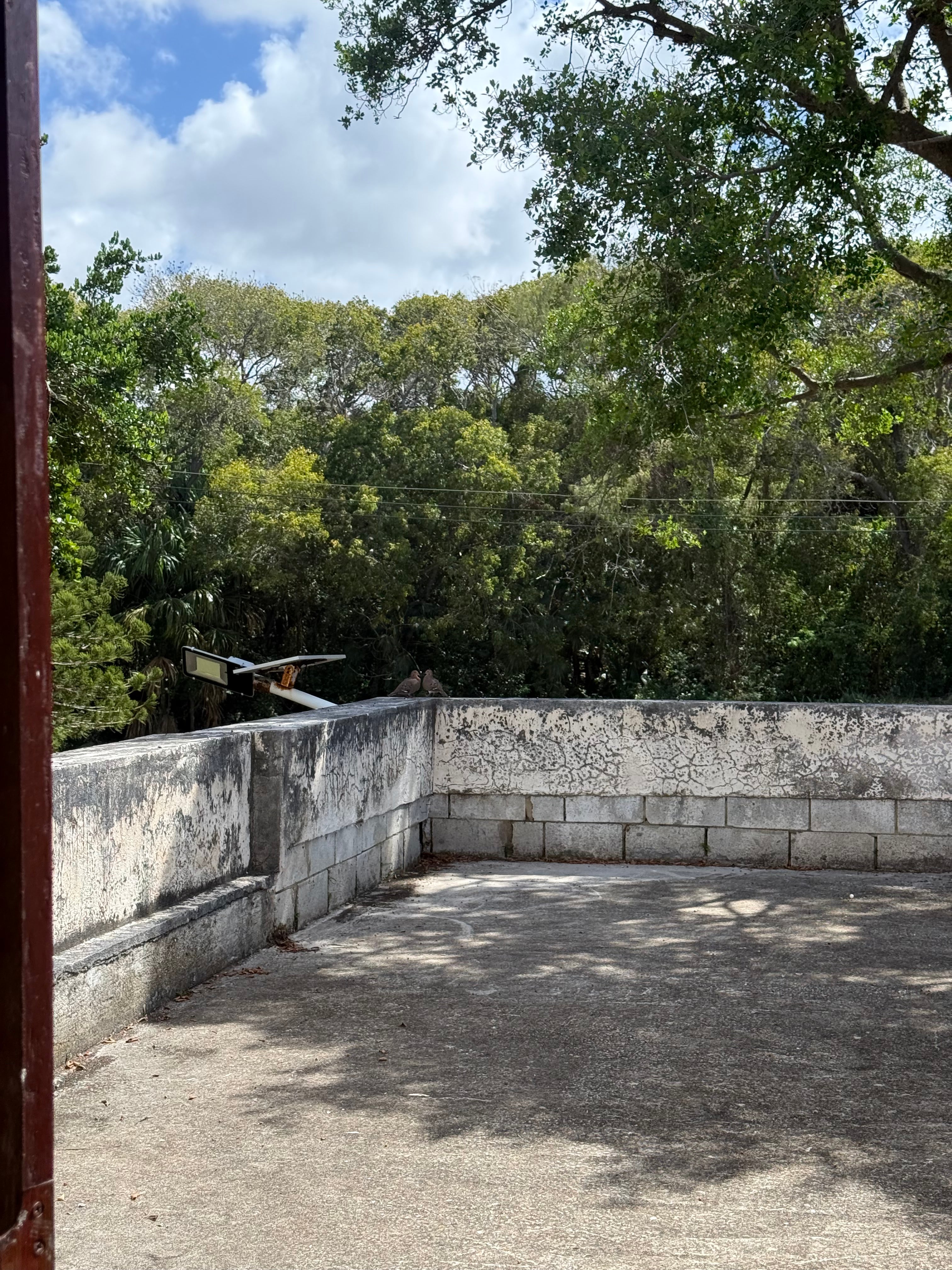 Palmer Plantation, Saint Philip