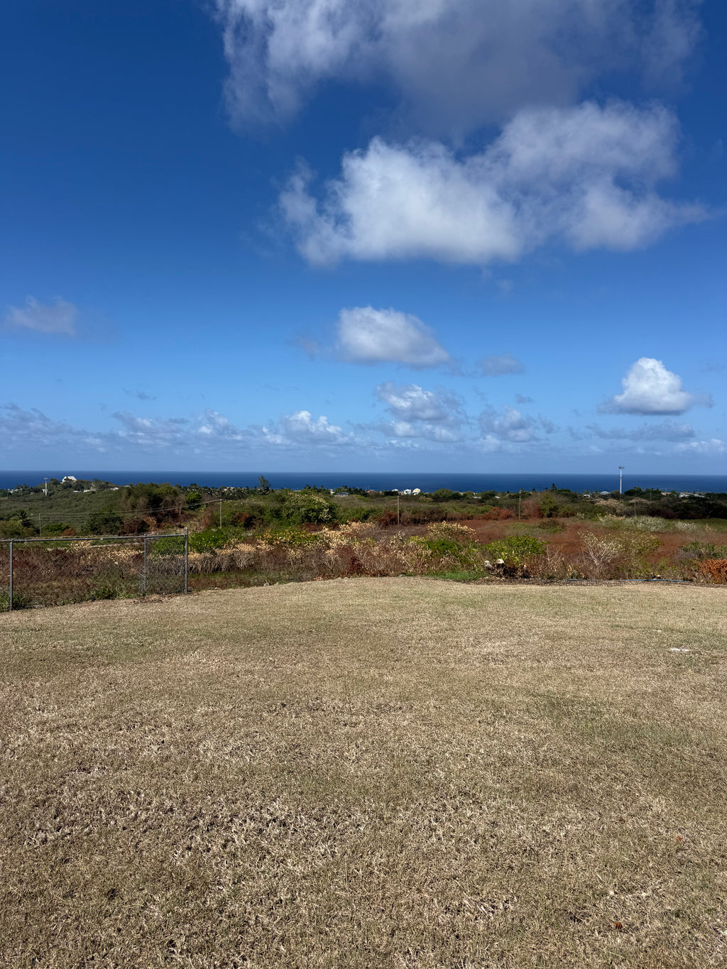 Palmer Plantation, Saint Philip