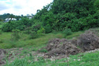 Rolling Hills | Lot 35 – St. George