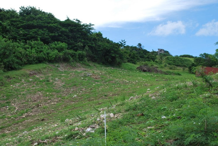 Rolling Hills | Lot 35 – St. George