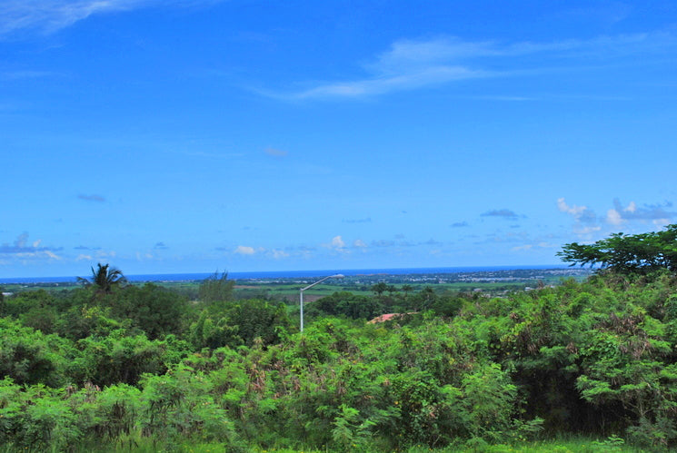 Rolling Hills | Lot 35 – St. George