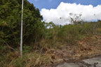 Rolling Hills | Lot 73, St. George, Barbados