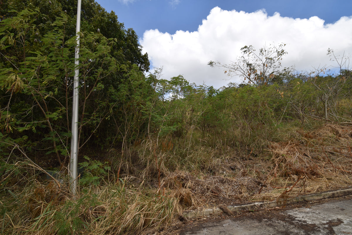 Rolling Hills | Lot 73, St. George, Barbados
