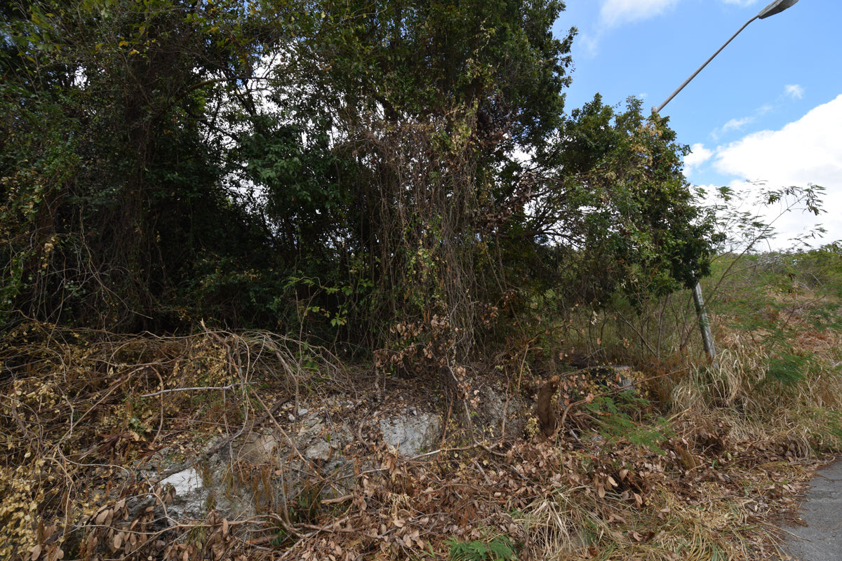 Rolling Hills | Lot 73, St. George, Barbados