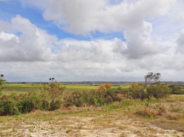 Sunrise Meadow lot 14
