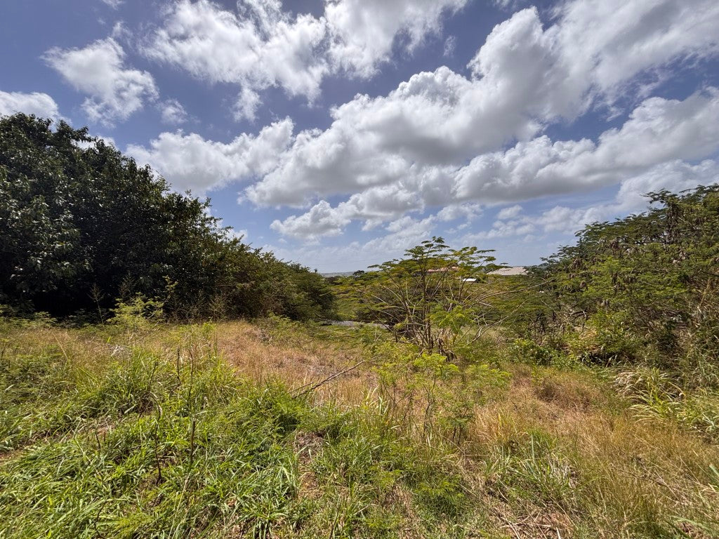 Sunrise Meadows | Lots 7 & 8