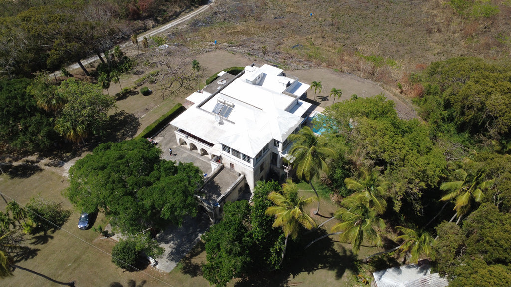 Palmer Plantation, Saint Philip