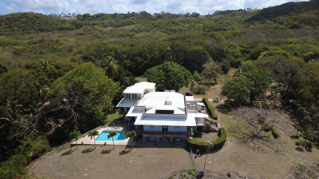 Palmer Plantation, Saint Philip